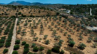 Αγροτεμάχια 13.785 τ.μ. προς πώληση, Πορτοχέλι-thumb-8