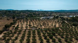 Αγροτεμάχια 13.785 τ.μ. προς πώληση, Πορτοχέλι-thumb-18
