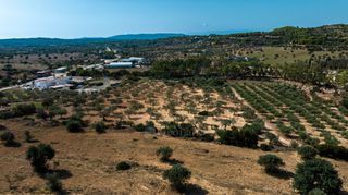 Αγροτεμάχια 13.785 τ.μ. προς πώληση, Πορτοχέλι-thumb-14