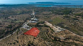 Αγροτεμάχια 13.785 τ.μ. προς πώληση, Πορτοχέλι-thumb-4