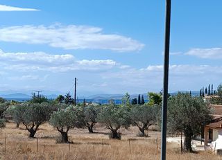 Μονοκατοικία 81 τ.μ. για πώληση, Αργολίδα, Κρανίδι-thumb-21