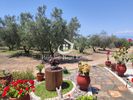 Parcel 16.000sqm for sale-Orfano » Kariani