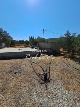 Αγροτεμάχια 30.406 τ.μ. για πώληση