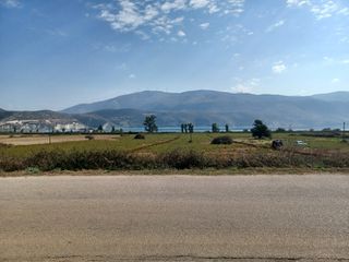 Αγροτεμάχια 4.392 τ.μ. για πώληση