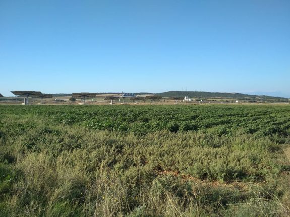 Αγροτεμάχια 10.000 τ.μ. για πώληση, Εβρος, Αλεξανδρούπολη