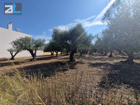 Land plot 1.316 sqm for sale