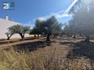 Οικόπεδο 1.316 τ.μ. για πώληση