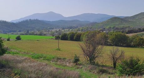 Parcel 16.687sqm for sale-Kirea » Farakla