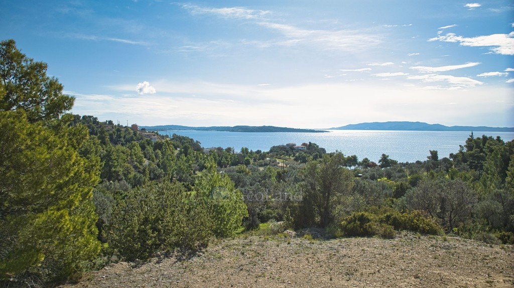 Οικόπεδο 402 τ.μ. προς πώληση, Βερβερούδα