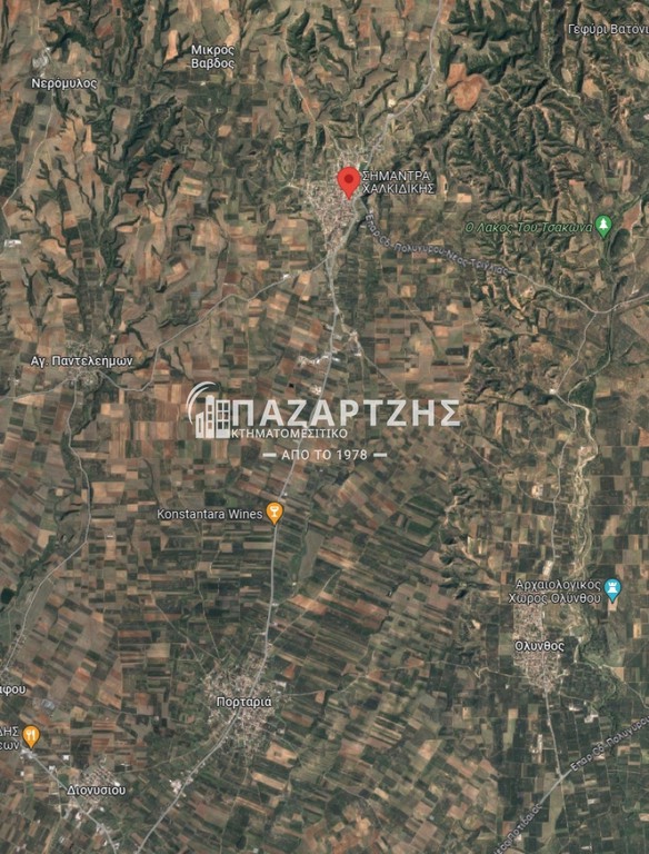Αγροτεμάχια 8.900 τ.μ. προς πώληση, Πορταριά Μουδανιών