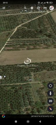 Αγροτεμάχια 600 τ.μ. για πώληση, Ν. Καβάλας, Ορφανό