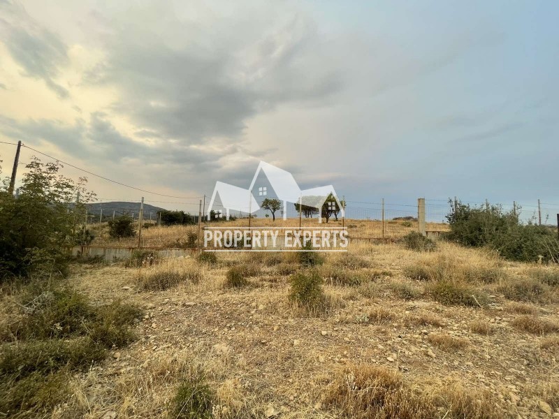 Αγροτεμάχια 5.383 τ.μ. πρός πώληση, Εβρος, Αλεξανδρούπολη