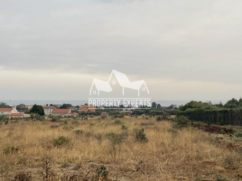 Αγροτεμάχια 5.383 τ.μ. πρός πώληση, Εβρος, Αλεξανδρούπολη