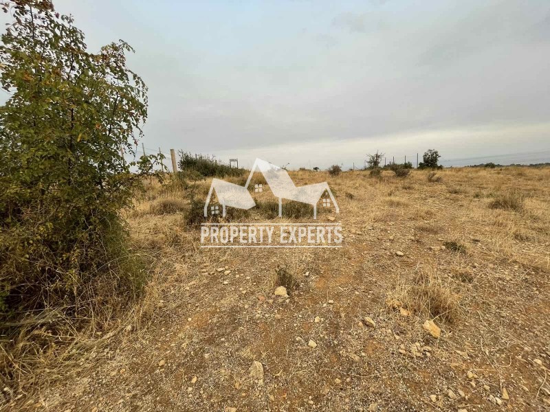 Αγροτεμάχια 5.383 τ.μ. πρός πώληση, Εβρος, Αλεξανδρούπολη