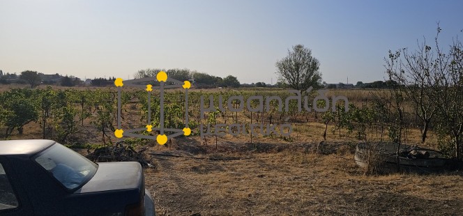 Αγροτεμάχια 4.500 τ.μ. πρός πώληση, Εβρος, Τραϊανούπολη
