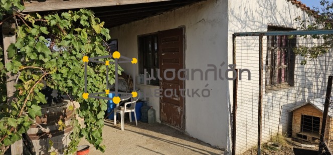 Αγροτεμάχια 4.500 τ.μ. πρός πώληση, Εβρος, Τραϊανούπολη