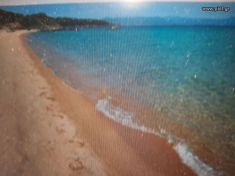 Αγροτεμάχια 1.170 τ.μ. για πώληση