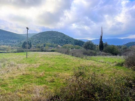 Αγροτεμάχια 4.005 τ.μ. για πώληση