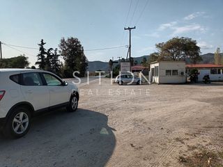 Οικόπεδο 1.811 τ.μ. προς πώληση, Σάρτη-thumb-2