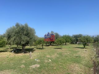 Οικόπεδο 2.700 τ.μ. για πώληση, Αχαΐα, Αίγιο-thumb-2