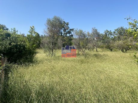 Parcel 1.000 sqm for sale