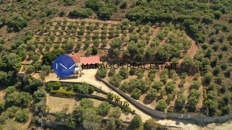 Μονοκατοικία 153τ.μ. για πώληση-Άργος