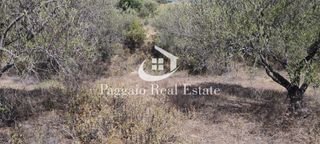 Αγροτεμάχια 5.375 τ.μ. για πώληση, Ν. Καβάλας, Ελευθερές-thumb-6