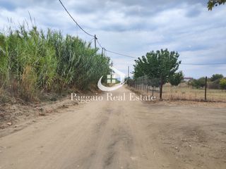 Αγροτεμάχια 840 τ.μ. για πώληση, Ν. Καβάλας, Ορφανό-thumb-5