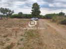 Αγροτεμάχια 840τ.μ. για πώληση-Ορφανό » Καριανή
