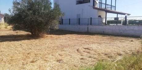 Αγροτεμάχια 400τ.μ. για πώληση-Ορφανό » Ορφάνι