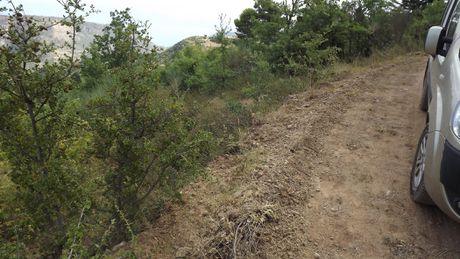 Αγροτεμάχια 4.600 τ.μ. για πώληση