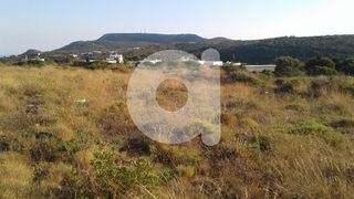 Οικόπεδο 4.000 τ.μ. για πώληση