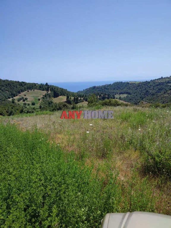 Αγροτεμάχια 55.000 τ.μ. προς πώληση, Ανθούσα Παλλήνης Χαλκιδικής