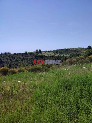 Αγροτεμάχια 55.000 τ.μ. για πώληση, Χαλκιδική, Παλλήνη