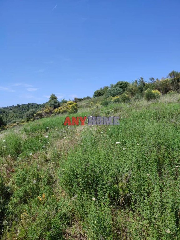 Αγροτεμάχια 55.000 τ.μ. προς πώληση, Ανθούσα Παλλήνης Χαλκιδικής