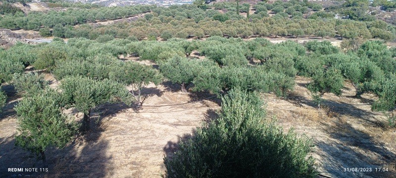 Αγροτεμάχια 12.000 τ.μ. πρός πώληση, Ν. Λασιθίου, Ιεράπετρα
