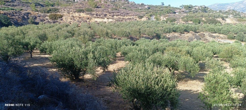 Αγροτεμάχια 12.000 τ.μ. πρός πώληση, Ν. Λασιθίου, Ιεράπετρα
