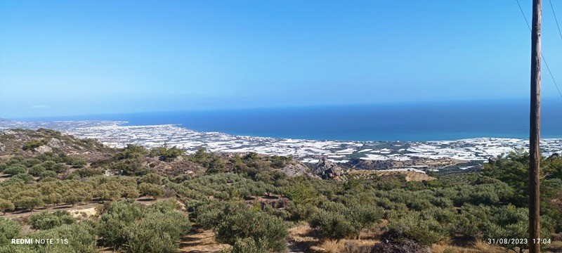 Αγροτεμάχια 12.000 τ.μ. πρός πώληση, Ν. Λασιθίου, Ιεράπετρα
