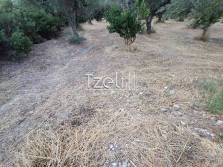 Οικόπεδο 929 τ.μ. για πώληση, Αχαΐα, Μεσσατίδα-thumb-20