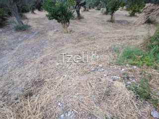 Οικόπεδο 929 τ.μ. για πώληση, Αχαΐα, Μεσσατίδα-thumb-2
