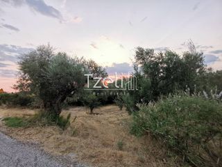 Οικόπεδο 929 τ.μ. για πώληση, Αχαΐα, Μεσσατίδα-thumb-18
