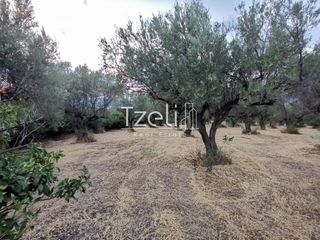 Οικόπεδο 929 τ.μ. για πώληση, Αχαΐα, Μεσσατίδα-thumb-22