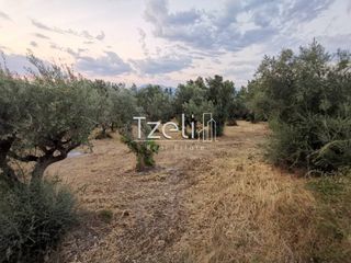Οικόπεδο 515 τ.μ. για πώληση, Αχαΐα, Μεσσατίδα-thumb-1