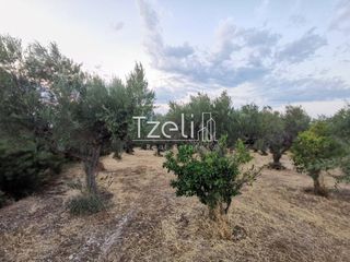 Οικόπεδο 515 τ.μ. για πώληση, Αχαΐα, Μεσσατίδα-thumb-28