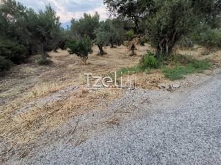 Οικόπεδο 515 τ.μ. για πώληση, Αχαΐα, Μεσσατίδα-thumb-8