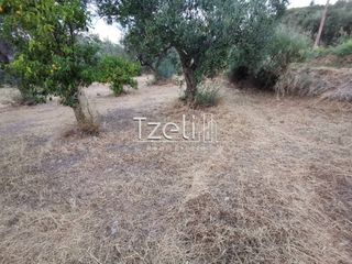 Οικόπεδο 515 τ.μ. για πώληση, Αχαΐα, Μεσσατίδα-thumb-27