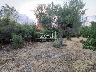 Οικόπεδο 515 τ.μ. για πώληση, Αχαΐα, Μεσσατίδα-thumb-29