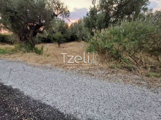 Οικόπεδο 515 τ.μ. για πώληση