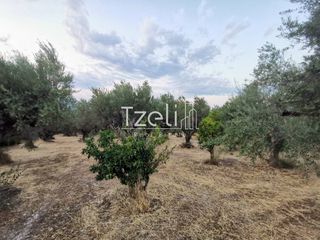 Οικόπεδο 515 τ.μ. για πώληση, Αχαΐα, Μεσσατίδα-thumb-5