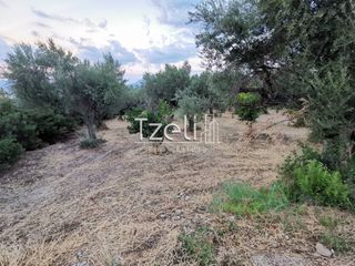 Οικόπεδο 515 τ.μ. για πώληση, Αχαΐα, Μεσσατίδα-thumb-13